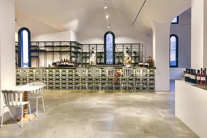 Vip Tour Giza pyramids, sphinx with Camel Ride and Vip lunch