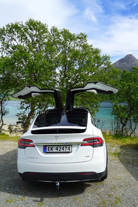 Fjord Sightseeing - TeslaX Electric car photo 2