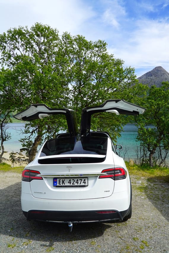 Fjord Sightseeing - TeslaX Electric car 2