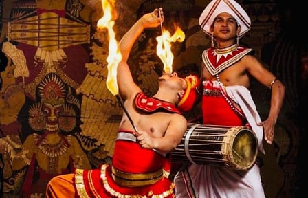 14-Day Luxury Private Tour of Sri Lanka's Highlights