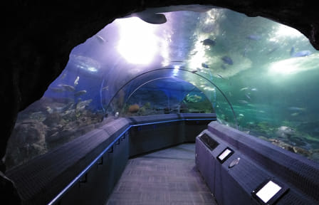 Underwater World Pattaya Ticket