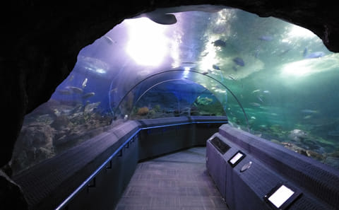 Underwater World Pattaya Admission Ticket for Marine Exploration