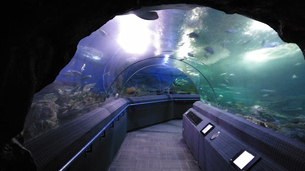 Underwater World Pattaya Ticket 2