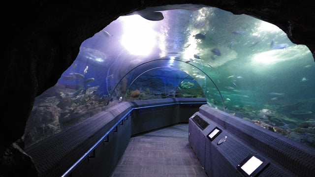 Underwater World Pattaya Ticket