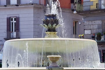 Private Walking Tour of Historic Naples Landmarks