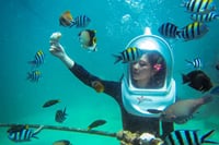 Bali Water Sports Sea Walker, Donut and Banana Boat with Transfer 2