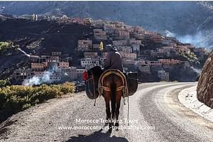 One Day Trip From Marrakesh: 3 Valleys Excursion In Atlas Mountains & Imlil 