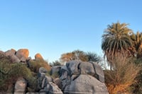 Private Tour To Aswan Nubian Museum & Nubian village by motorboat 5