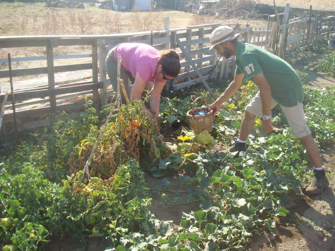 Visit the Farm - Enjoy Animals and Nature in Mykonos 7