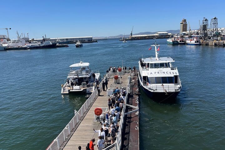 Robben Island Museum Ticket Ferry Half Day Tour