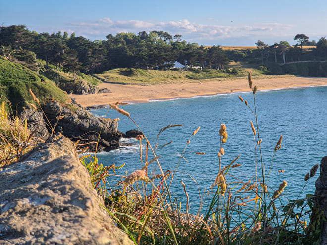 Guided tasting bike ride between Saint-Malo and Cancale 7h 8