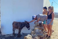 6 Hours All Of Mykonos Private Tour Lunch Included and Pick Up 2