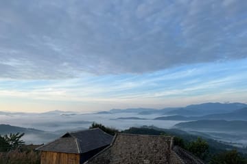 Jingmai Mountain Tour: Explore Tea Forests and Dai Villages