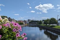 Walk historic Kilkenny with a qualified tour guide. (English) 10