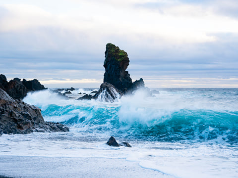 Snæfellsnes en español con almuerzo incluido en una granja en minibus, photo 12