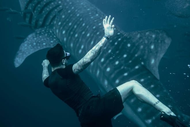 Whale Shark Adventure Day Trip from Zanzibar to Mafia Island photo 2