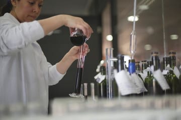 Private Full Day Rafting and Wine From Santiago