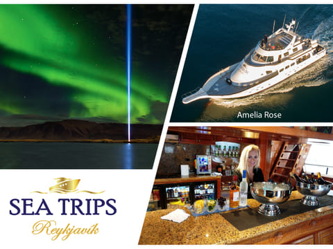 sea trips reykjavík - Northern Lights Cruise from Reykjavík