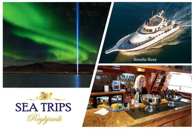 sea trips reykjavík - Northern Lights Cruise from Reykjavík