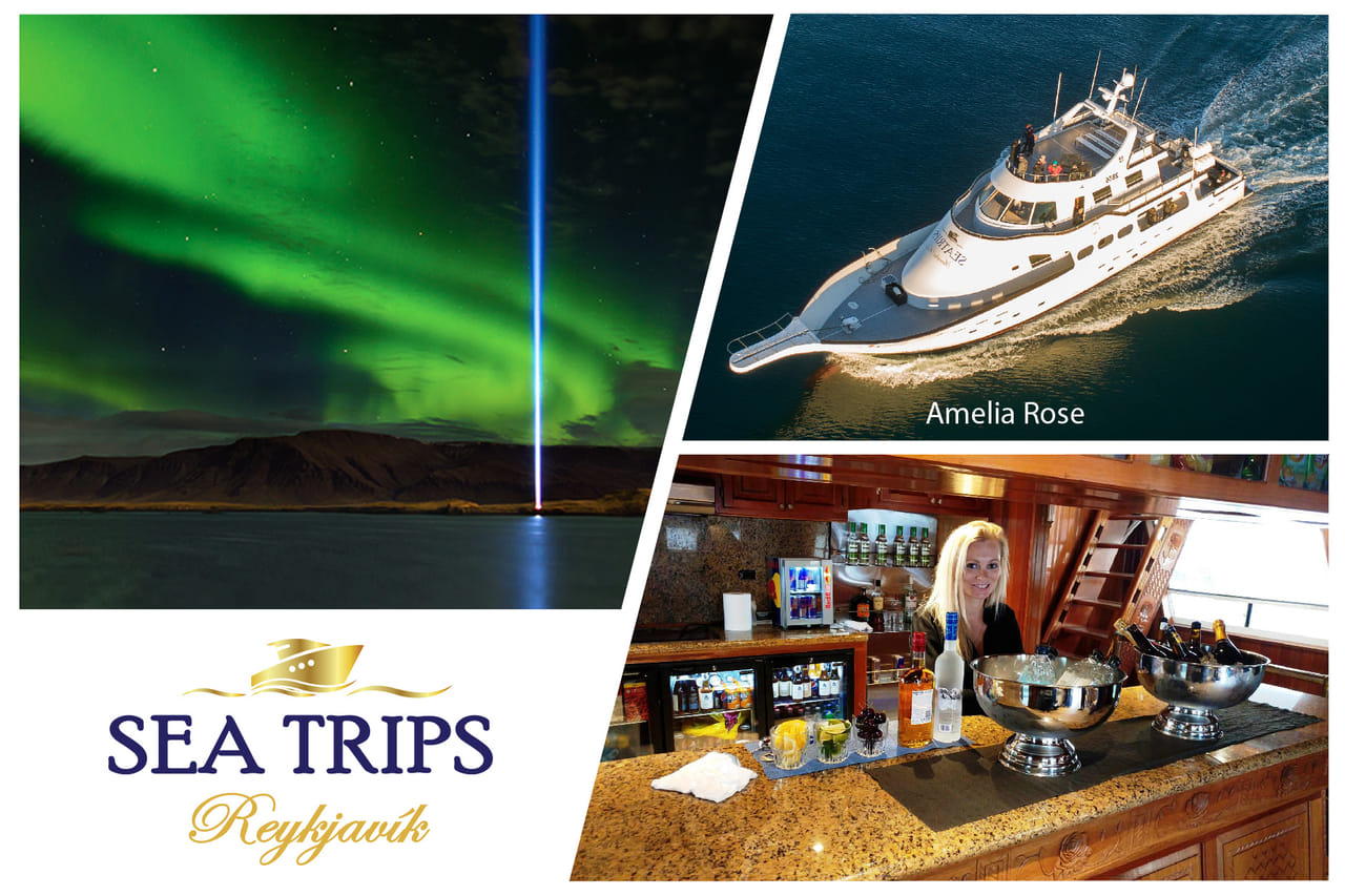 sea trips reykjavík - Northern Lights Cruise from Reykjavík