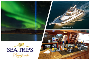 Northern Lights Yacht Cruise Experience in Reykjavík