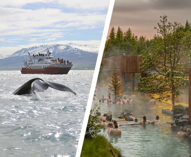 Akureyri: Forest Lagoon & Whale Watching