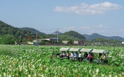 Hiking Day Trip on Meiwu Ancient Path and Lake near Shanghai