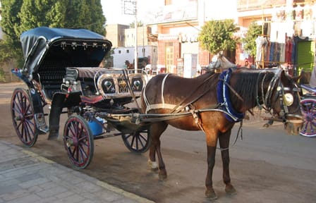 Horse Carriage Tour of Scenic Aswan, Egypt