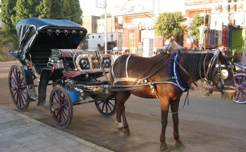 Horse Carriage Tour of Scenic Aswan, Egypt