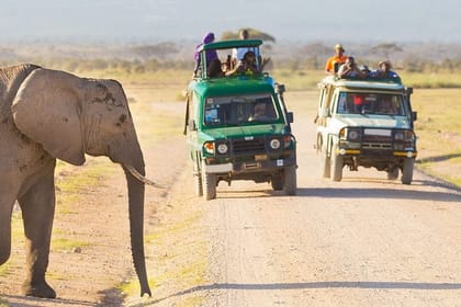4-Day Taste of Kenya Wildlife Safari – High End