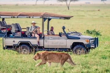 Jeep Safari Zanzibar Island 3 Day Private Tour