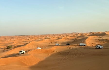 Dubai Premium Desert Safari with Dune Bashing and Camel Ride