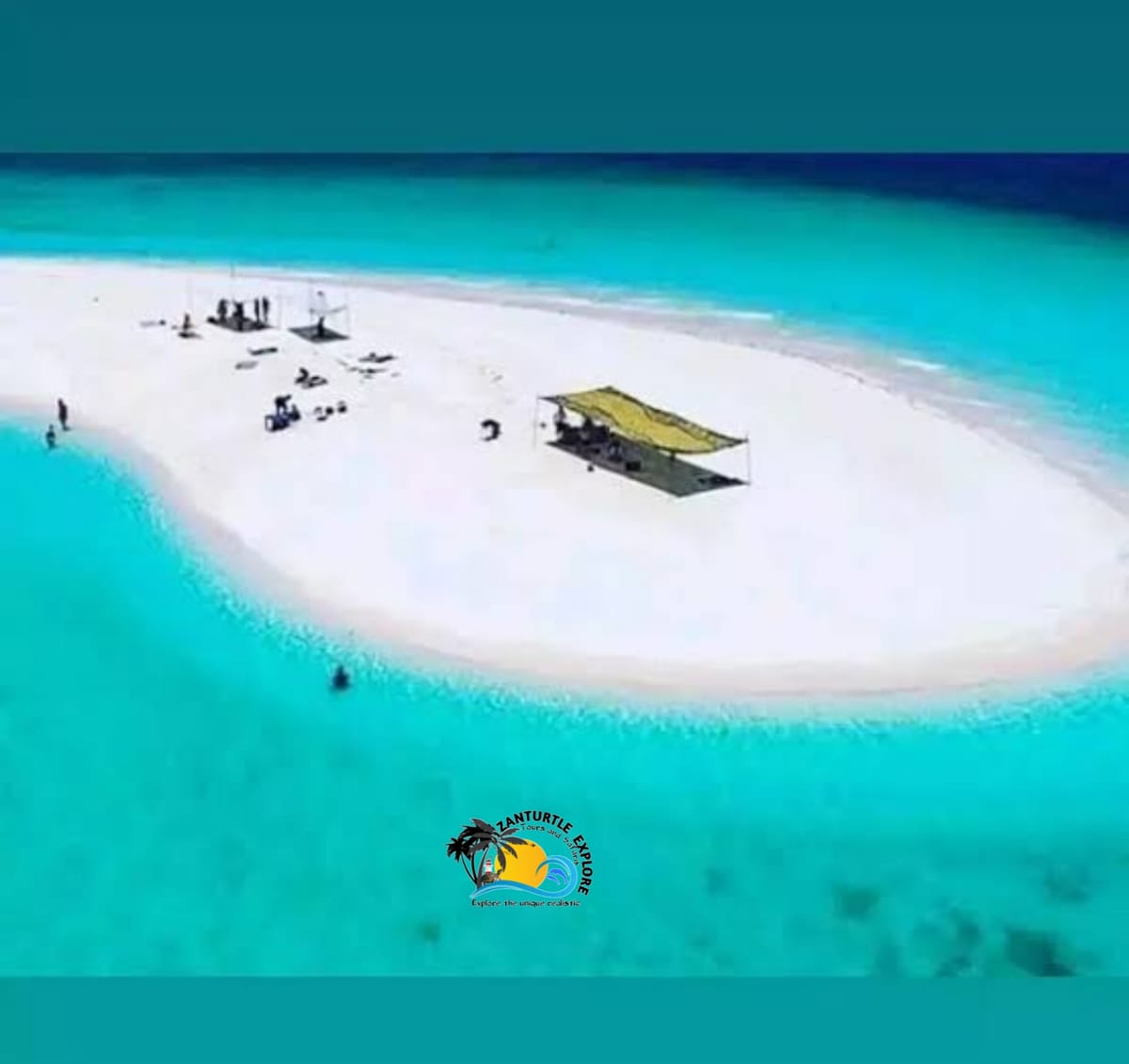 Zanzibar Prison Island Giant Big Tortoise Tour