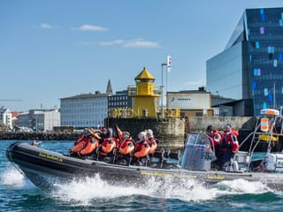 Reykjavík Premium Whale Watching, photo 12