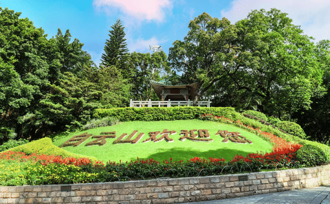 Guangzhou One-Day Cultural Tour: Chen Clan Hall and Baiyun Mountain