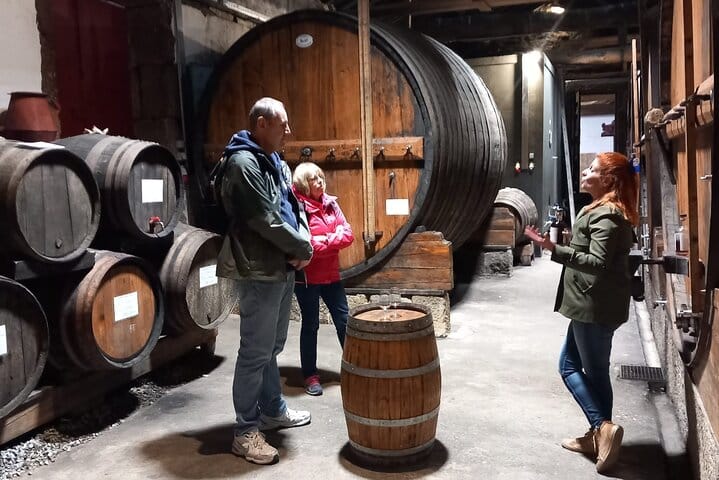 DOURO VALLEY & AMARANTE: Scenic or Wine Experience Private Tour