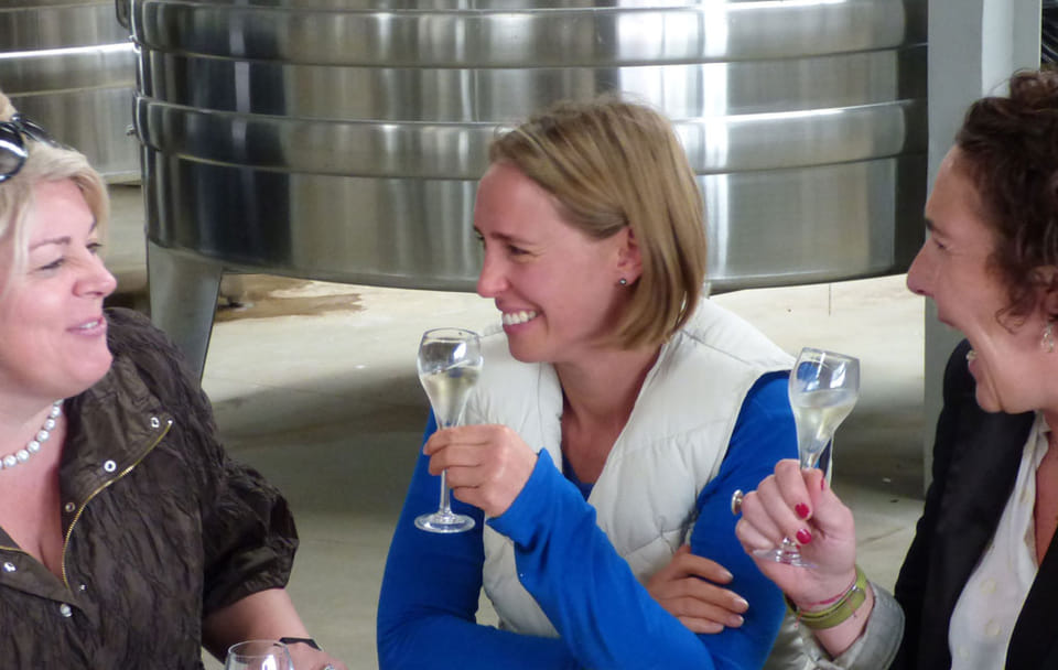 Full Day Wine Tour with Lunch at Sedlescombe Vineyard from London