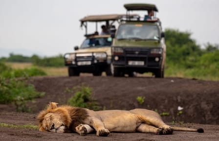 Amboseli National Park Day Tour