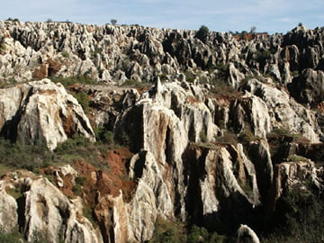 From Seville: Cerro del Hierro private hiking with pic-nic