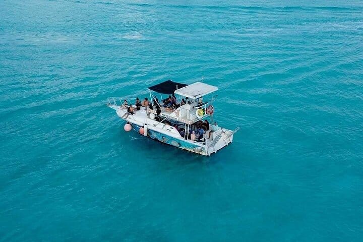 Discover Cozumel's Reef: Glass-bottom Boat Snorkeling Adventure 4