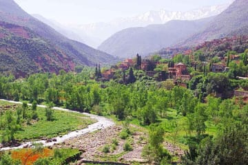Private Full Day Tour in Ourika Valley