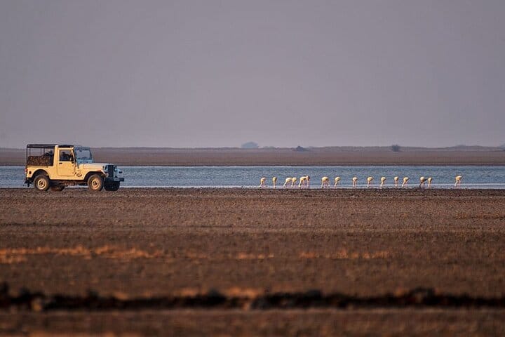 Ahmedabad, Little Rann Of Kutch & Rajkot Tour