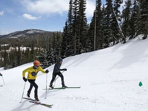 Cross Country Ski Taster