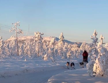 1,5 hour husky experience - 5km Husky Safari & Farm Visit 4