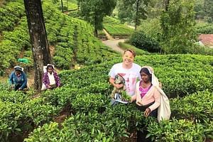 2 -Days private tour to Nuwara Eliya from Colombo