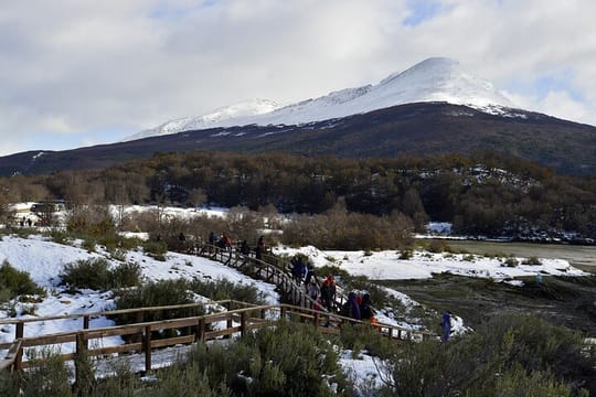 4-Hour National Park at the End of the world - Ushuaia ( Shared Tour )