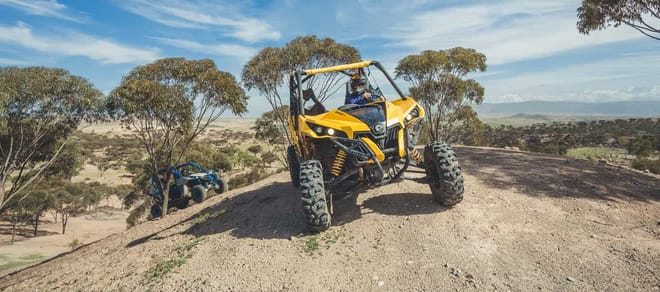 ½ Day : Buggy Adventure in Desert & Palms | Private & Luxury 9