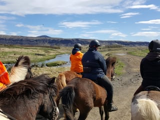 02B - The Siggi Tour, photo 12