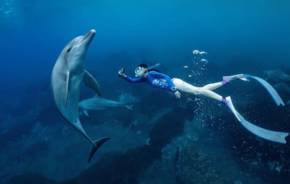 Mahmya Island Day Trip with Snorkeling in Hurghada