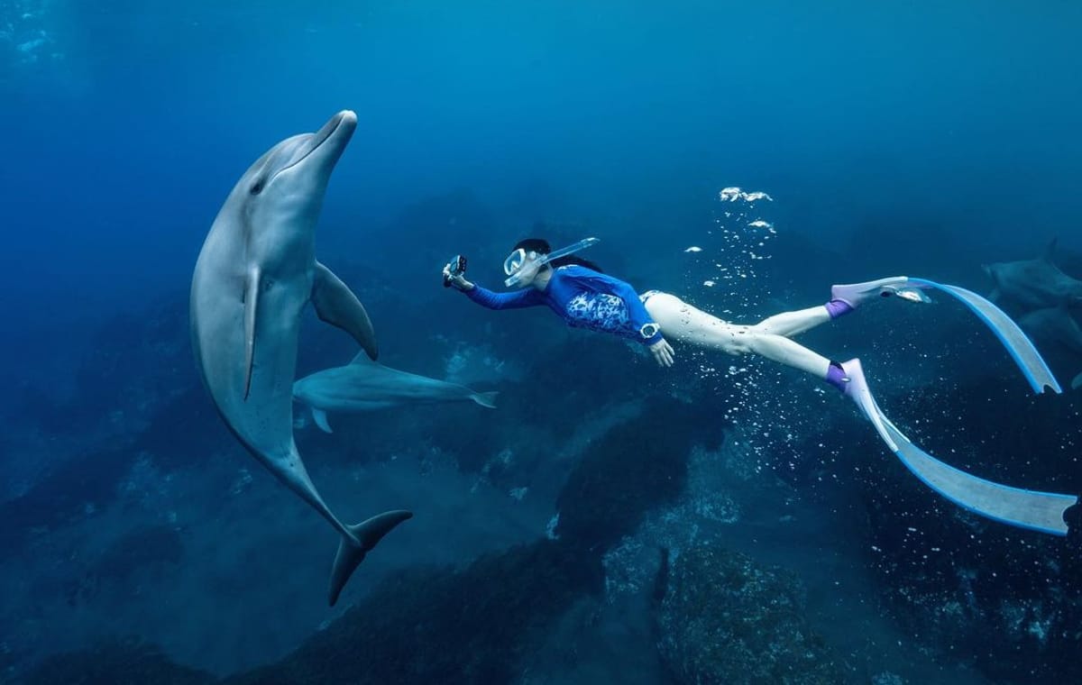 Discover Mahmya Island-A Tropical Paradise in Hurghada